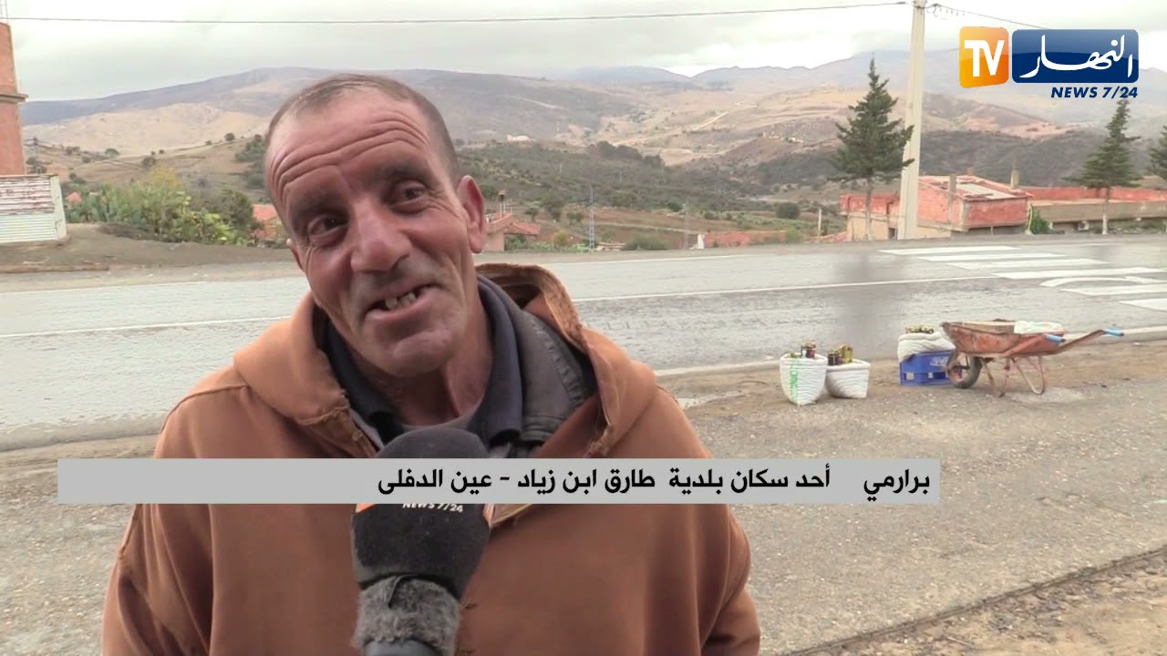 عين الدفلى: جني ثمار البلوط.. مهنة شاقة لتحصيل بعض الدنانير بالمناطق الجبلية