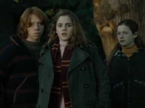 Et cetera Hermione/Ron/Lav...