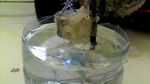 Taking sample system test  (robotic arm and pump) of ROV - underwater robot - robot bawah air