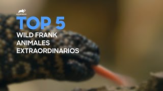 Top 5: Animales Extraordinarios  | Wild Frank  | Animal Planet by Animal Planet Latinoamérica 1,094 views 2 weeks ago 5 minutes, 18 seconds