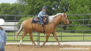 TF Cashsmrbarbiedoll***For info, price, etc., go to our website: ValleyViewRanch.net***