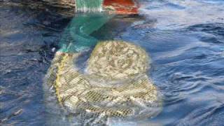 Good hauls 2010(north sea pair trawling)