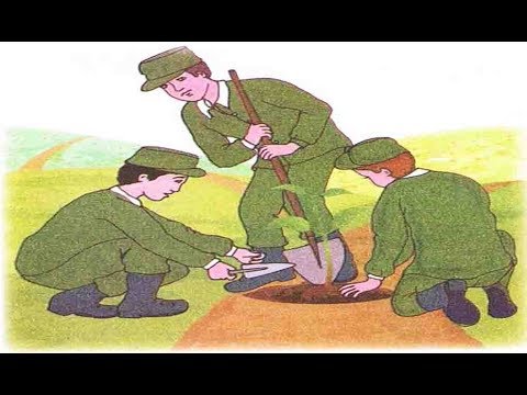 نص فهم المنطوق للسنة الثانية الجيل الثاني يوم بلا سيارات 