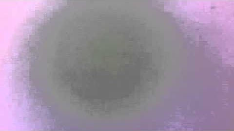 Black ops 2 Mod menu trolling #1