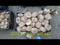 سوق الفقع الكما الرطبة 2019 2 7 