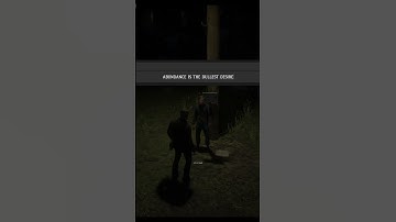 Infinite Ammunition Cheat Code Location In Rdr2 #shorts #spdxstreamgaming #rdr2