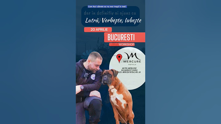 Cum faci câinele sa nu mai tragă în lesă #romania #câini #bucuresti #dresajcanin
