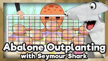 Abalone Outplanting  | Part Five | Aquarium of the Pacific