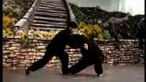 Chen Zhonghua Pushhands with Ronnie Yee 1