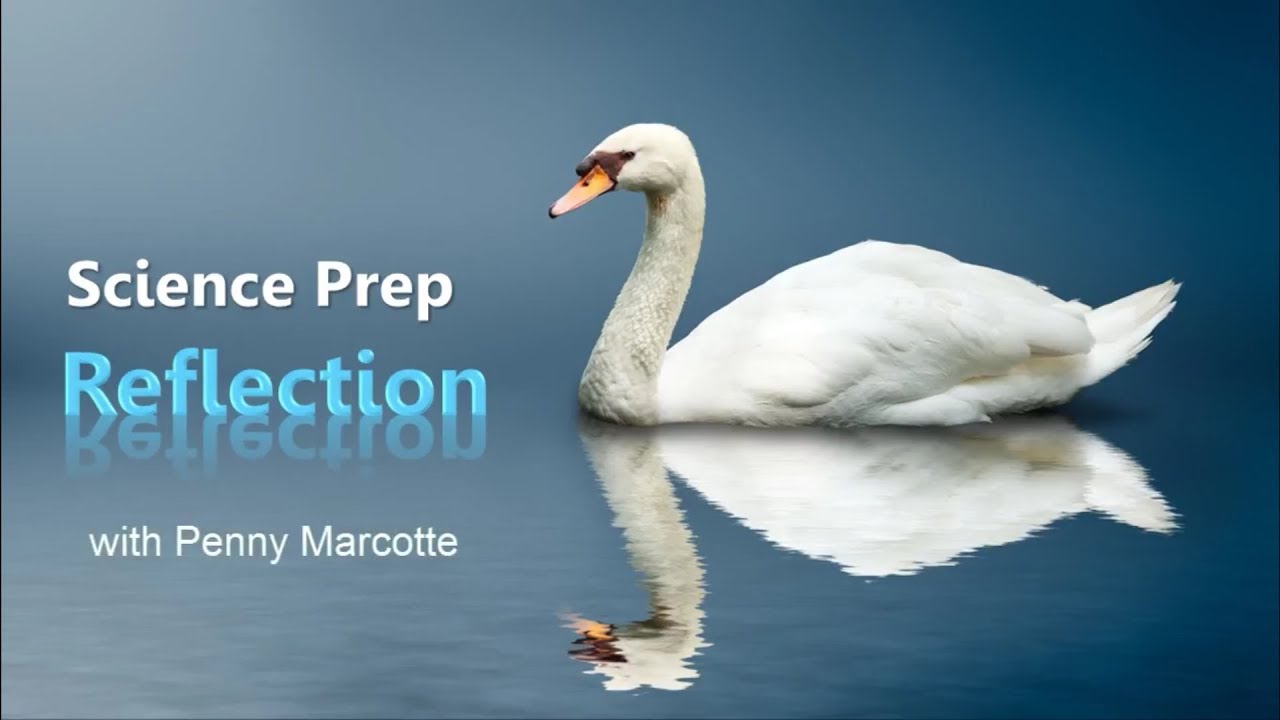 Science Prep Course Physics: Lesson 3 - Reflection - YouTube