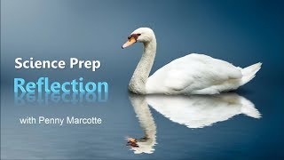 Celebrity Science Prep Course Physics: Lesson 3 -  Reflection Profile
