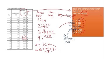 Ilustrasi Menyusun Diagram Dahan Daun (Stem & Leaf)