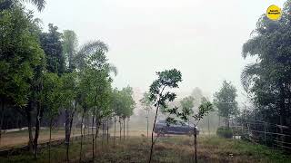 Beautiful Morning in Araku | Nature & Birds Sounds