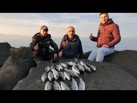 LEVREK AVI ŞAMANDIRA