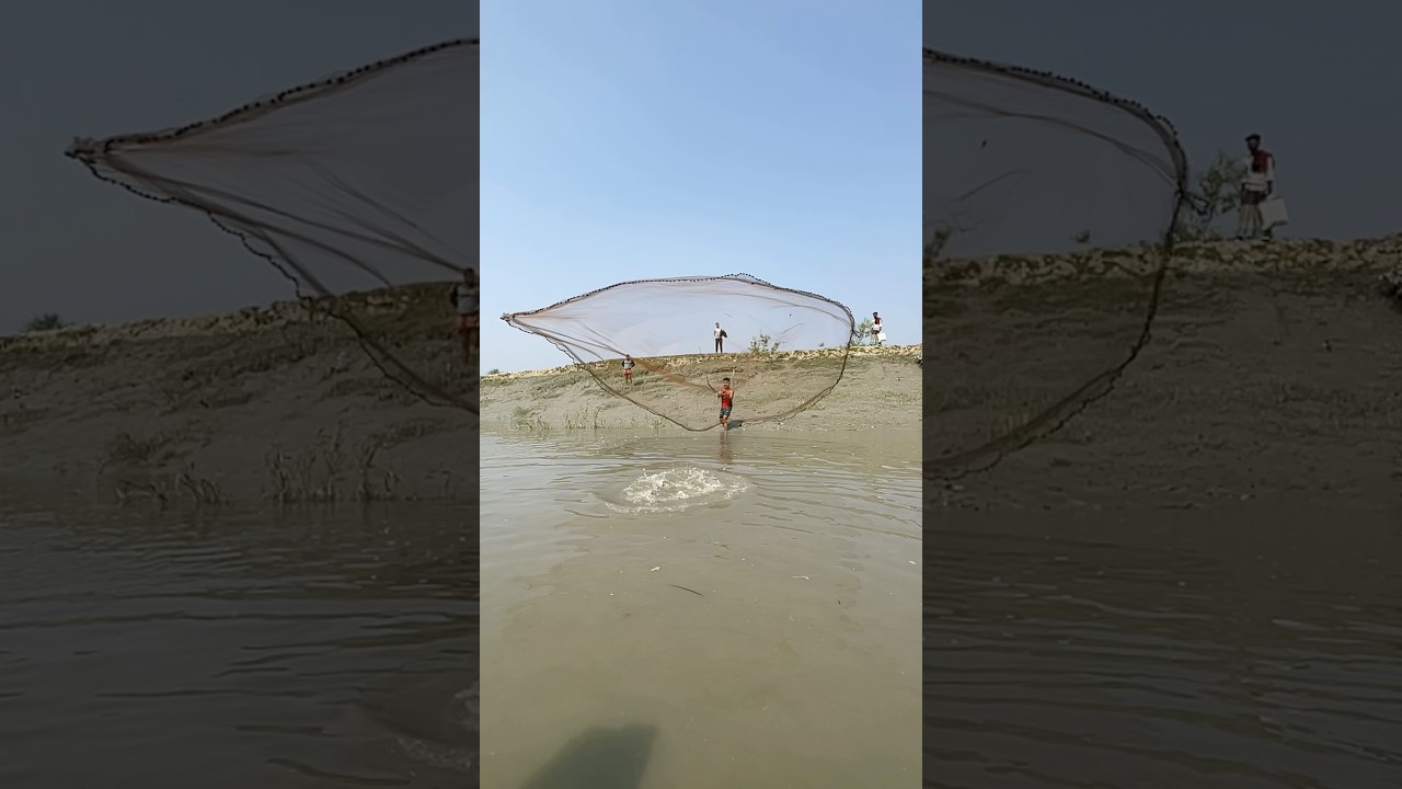 catch a big fish by cast net fishing 
