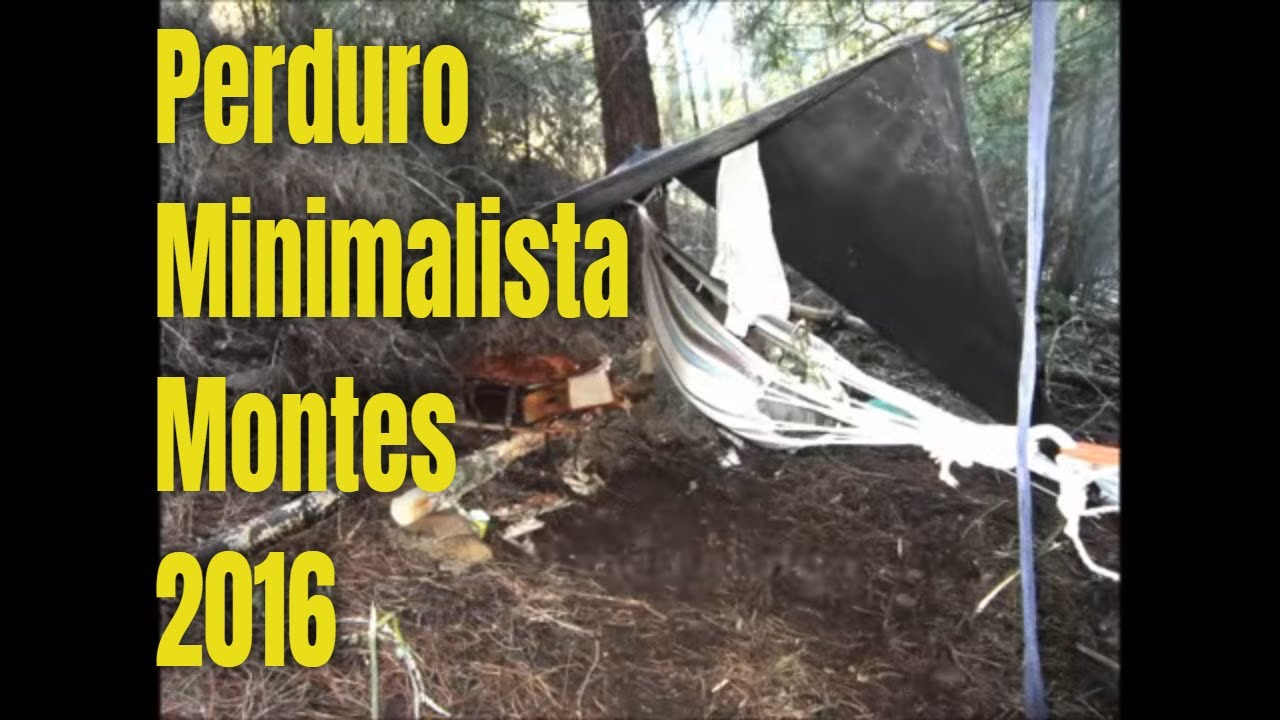Perduro Perduro Minimalista com 10 Itens 2016