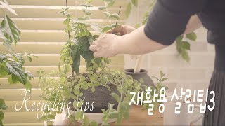 видео: SUB) Советы по переработке, переработка стеклянных бутылок, нулевые отходы картинка: SUB) Советы по переработке, переработка стеклянных бутылок, нулевые отходы