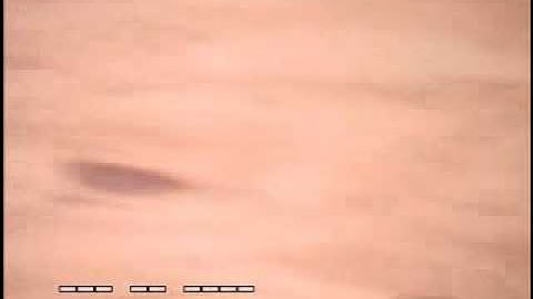 SPRING 2007 Neophyte Show- Theta Sigma Part two