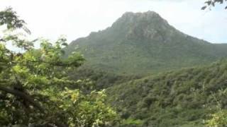 Curacao Scenes Trailer