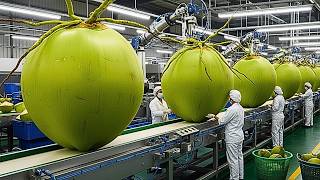 🥥 Inside a Modern Coconut Factory | From Fresh Coconuts to Premium Coconut Water