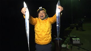 堤防でタチウオが爆釣するアイテムとは…