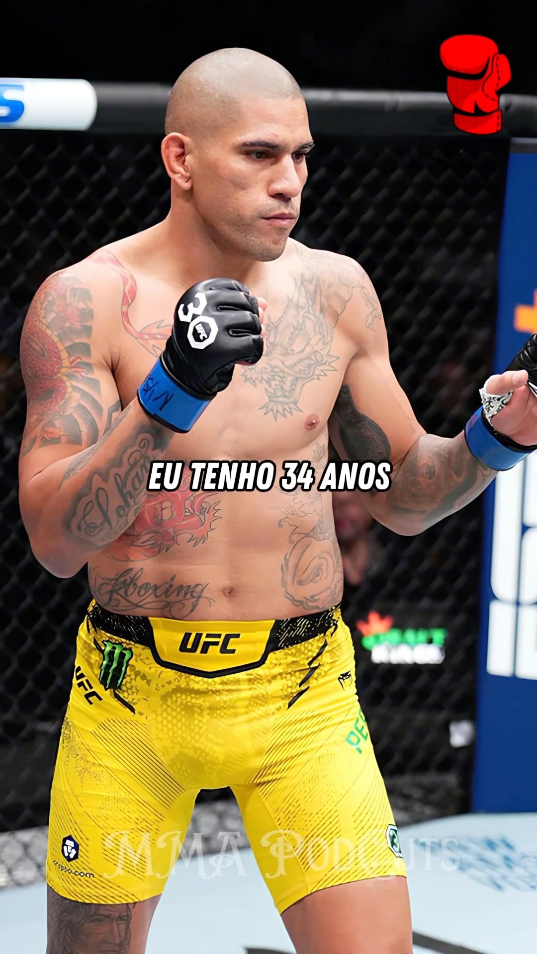 ALEX POATAN É SINISTRO #mma #luta #boxe #ufc #shortsfeed #brasil #foryou