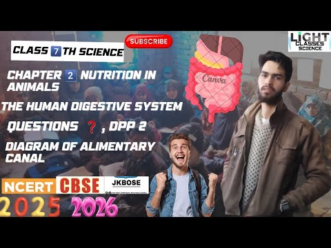 The human Digestive system | Alimentary canal | Digram| Questions ...