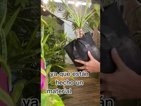 Video: Jardinería con bolsas de cultivo - ¿Qué es una bolsa de cultivo y para qué se utilizan?