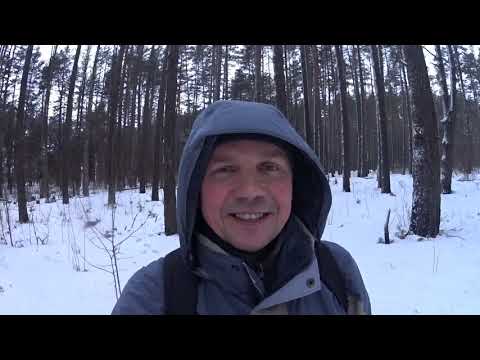 5 точек баланса. Ориентация на местности, проявление чувств, эмоций, потребностей.