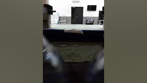 تلاوة من سورة النور بصوت عامر السدعي