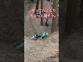 オフロード林道