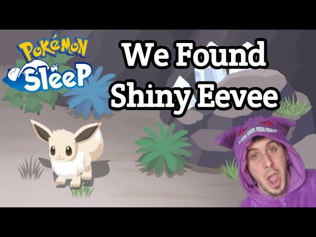 Eevee Week 2023 – Pokémon Sleep Official Webpage