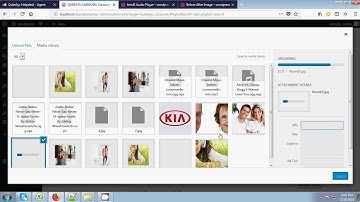 Responsive Carousel Wordpress Plugin - Installation Video