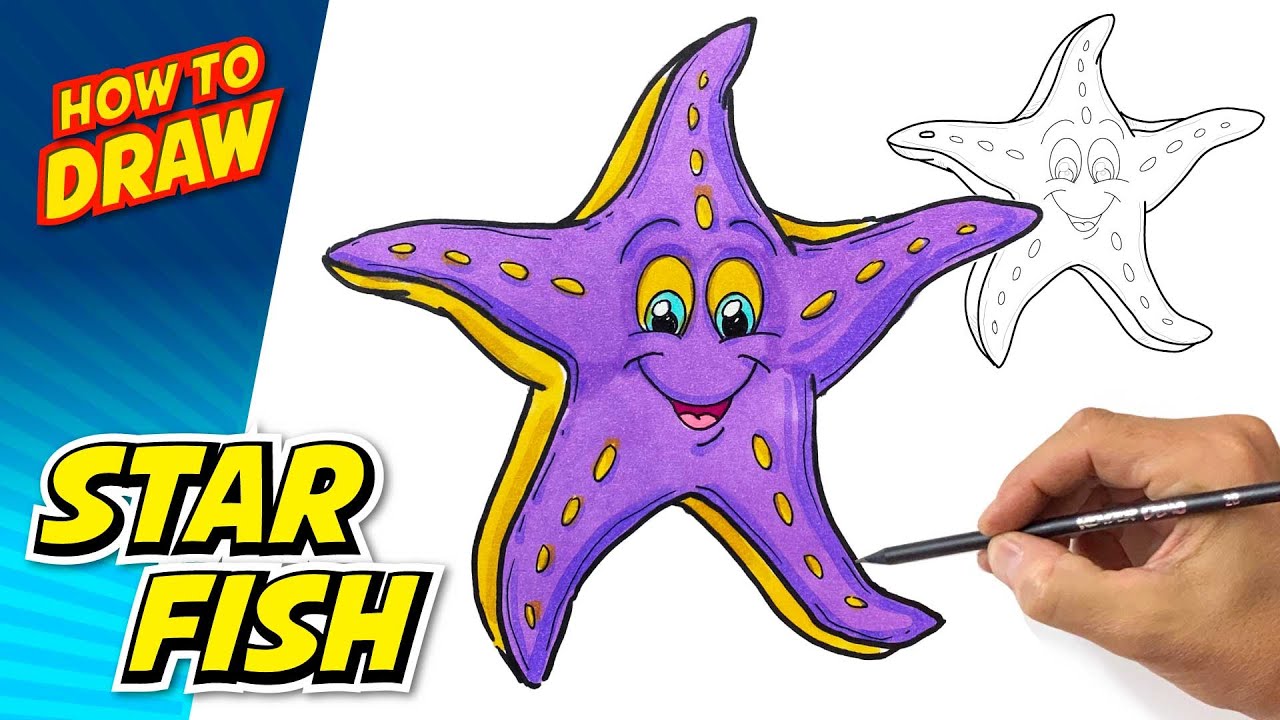 How to Draw a STARFISH Easy and color | 5 Realistic Starfish Styles |  #MrUsegoodART - YouTube