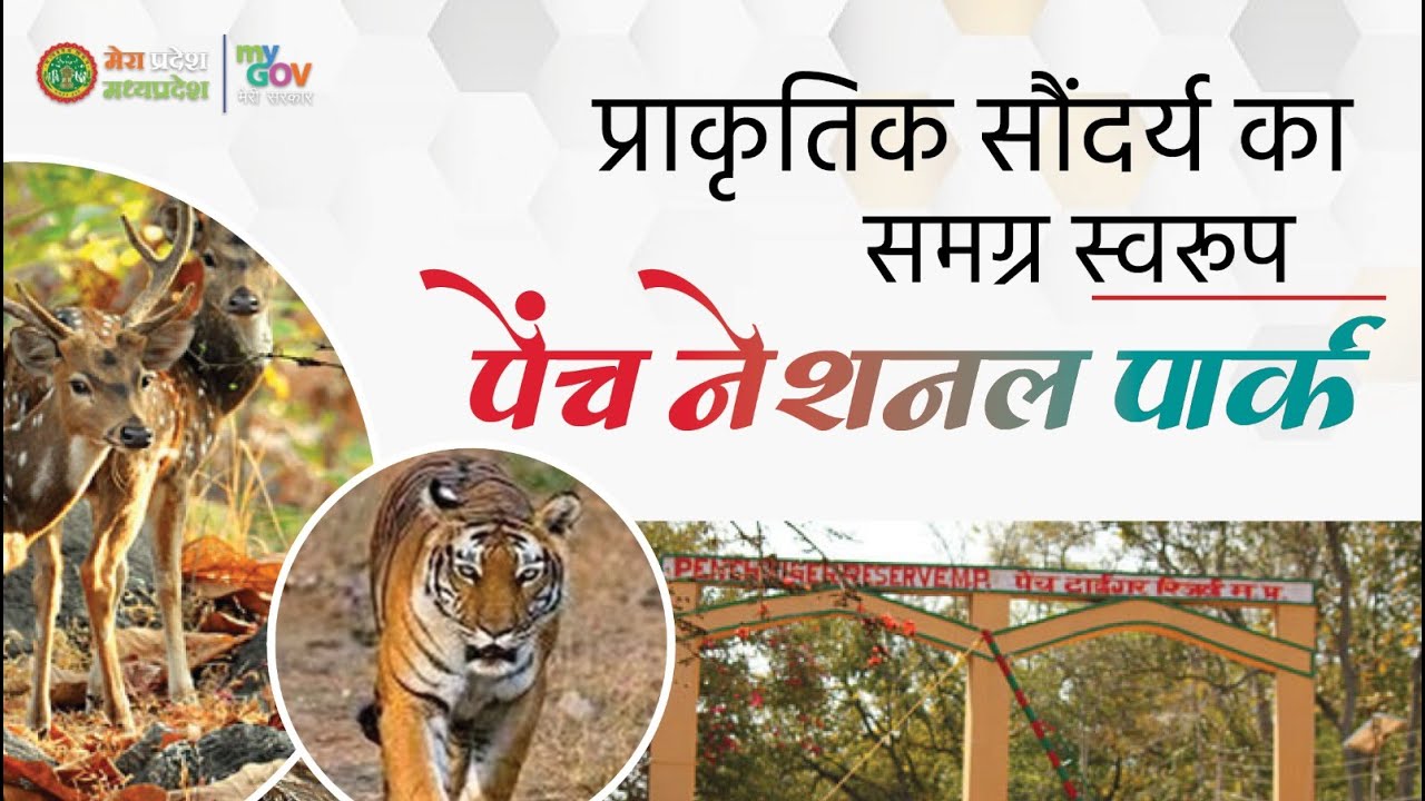 पेंच राष्ट्रीय उद्यान | Pench National Park Madhya Pradesh | 