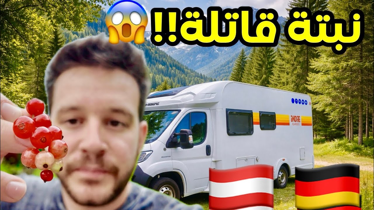 اكلنا نبتة سامة وردنا نتصل بالطواريء - حدود المانيا والنمسا مع بيتنا المتنقل كرفان اوروبا