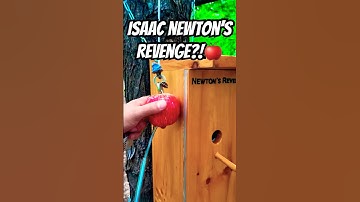 Why’s an apple in this tree? Isaac Newton had to discover gravity somehow! 🍎 BEST GEOCACHE EVER!