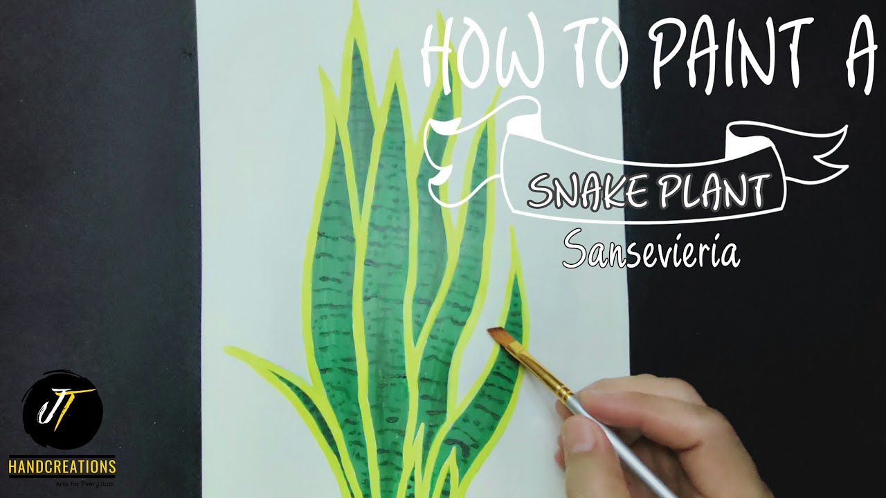 How to paint a Snake Plant/Sansevieria/Plant Art Tutorial JT HandCreations 🇵🇭 YouTube