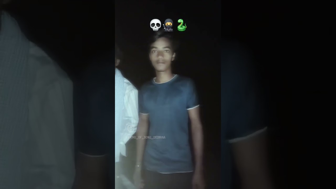 Obtain comprehensive assistance and guidance regarding the intricacies of the YouTube Partner Pro