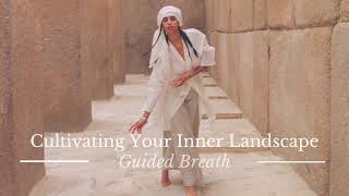 Cultivating Your Inner Landscape