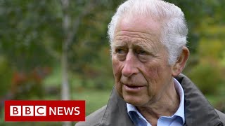Prince Charles tells BBC his Aston Martin runs on wine and cheese - BBC News