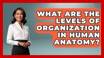 What Are The Levels Of Organization In Human Anatomy? - All About Anatomy Answers