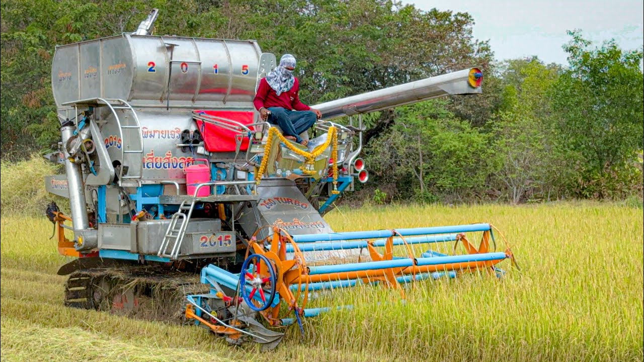 รถเกี่ยวข้าว พิมายเจริญการช่าง 2015 ยังแรงยังคล่องไม่เปลี่ยน #เสี่ยบำรุง 
