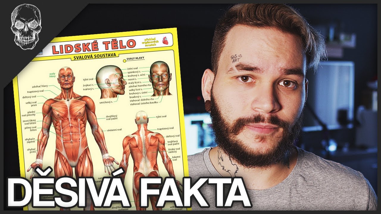 DĚSIVÁ FAKTA O LIDSKÉM TĚLE