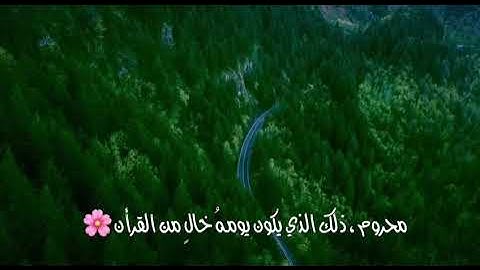 مقطع من سورة الروم بصوت محمد سالم امقيطيف