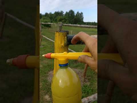 Самый дешовый и