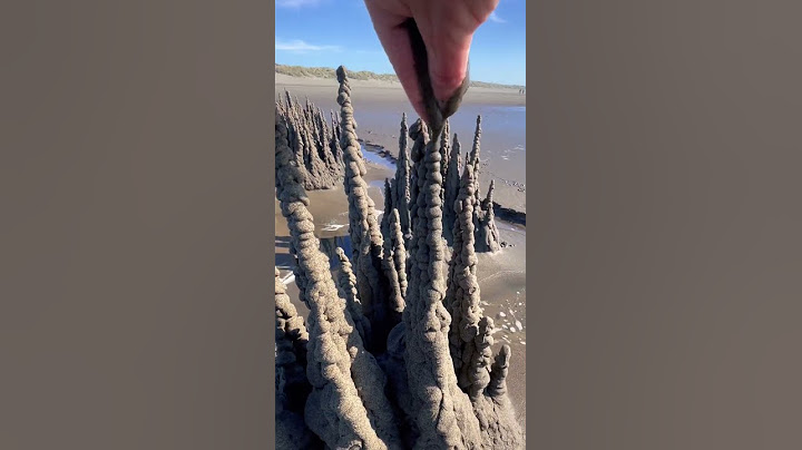 Sandcastle