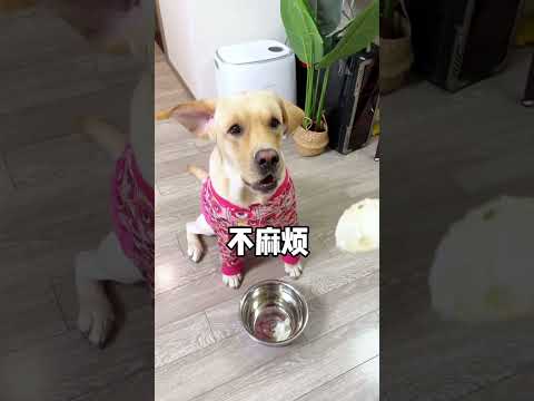 【旺仔很忙🐶】虽然我是狗，但你比我更像狗