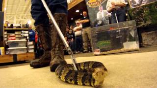 Rocky's Snake Master at Cabelas