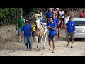 Staff de Luna chama desafio contra Belinha